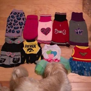 Xxs / XS dog sweaters